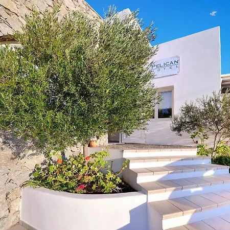 Pelican Hotel 2*